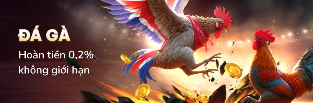 K88 Xem Đá Gà Livestream, đặt cược ngay và nhận hoàn trả hấp dẫn.